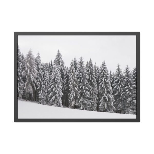 93854-616.jpg Snow Covered Trees in Forest Framed Poster
