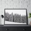 93854-619.jpg Snow Covered Trees in Forest Framed Poster