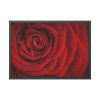 93854-96.jpg Red Rose Framed Poster