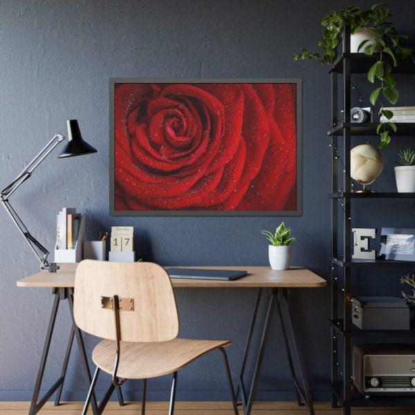 93854-98.jpg Red Rose Framed Poster