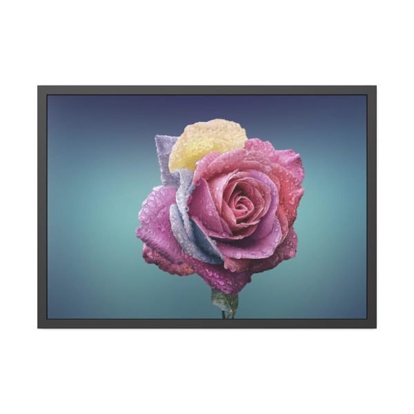 93855-100.jpg Multicolorful Rose Framed Poster