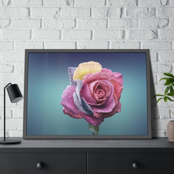 93855-103.jpg Multicolorful Rose Framed Poster
