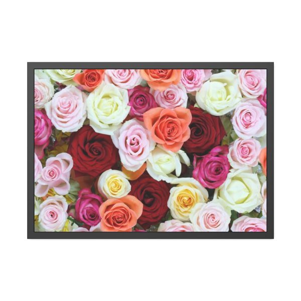 93855-112.jpg Colorful Roses Framed Poster