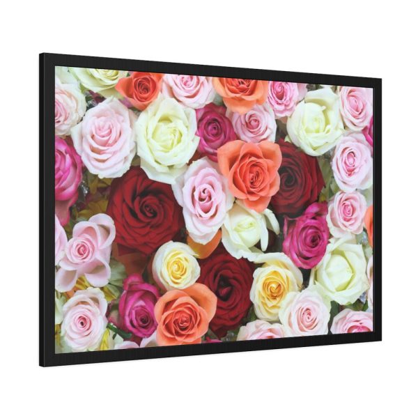93855-113.jpg Colorful Roses Framed Poster