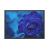 93855-116.jpg Blue Roses Framed Poster