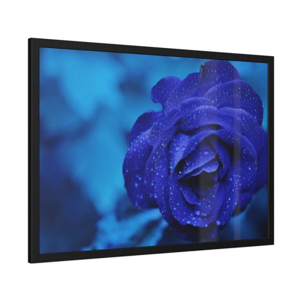 93855-117.jpg Blue Roses Framed Poster