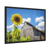 93855-121.jpg Sunflower and Farm Barn Framed Poster