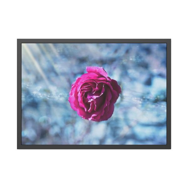 93855-124.jpg Garden Roses Framed Poster