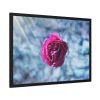 93855-125.jpg Garden Roses Framed Poster