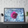 93855-127.jpg Garden Roses Framed Poster
