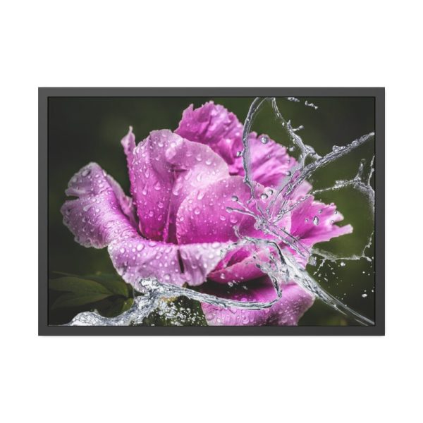 93855-128.jpg Rose Family Framed Poster