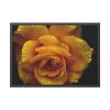 93855-132.jpg Drop of Water Framed Poster