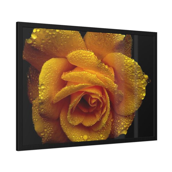 93855-133.jpg Drop of Water Framed Poster