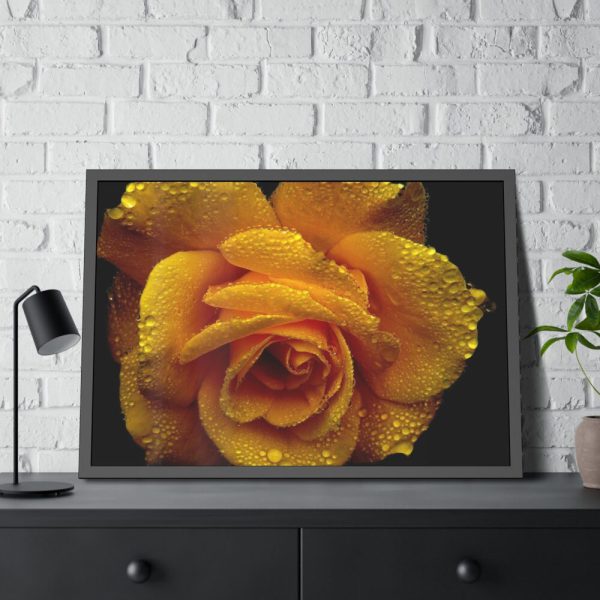 93855-135.jpg Drop of Water Framed Poster