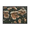 93855-140.jpg Brown Aesthetic Framed Poster