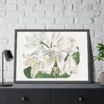 White Cape Coast Lily by Sydenham Edwards Framed Poster - Image 8