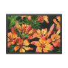 Orange Lily Framed Poster