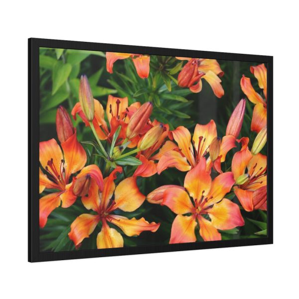 Orange Lily Framed Poster