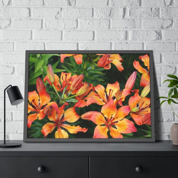 Orange Lily Framed Poster
