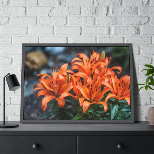 Orange Flower Framed Poster