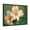 93855-189.jpg Lily of the Incas Framed Poster