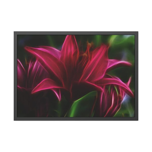 Pink Bloom Lily Framed Poster