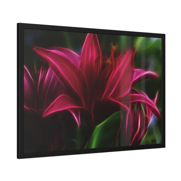 Pink Bloom Lily Framed Poster