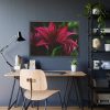 Pink Bloom Lily Framed Poster