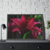 Pink Bloom Lily Framed Poster