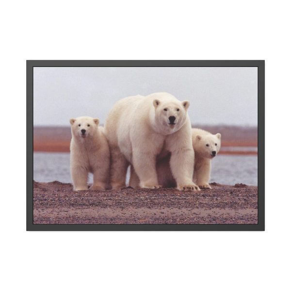 93855-204.jpg Polar Mama Bear and Cubs Framed Poster