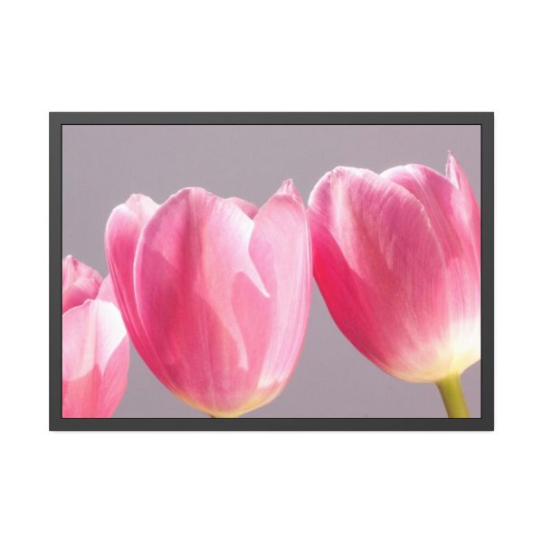 93855-216.jpg Pink Tulip Framed Poster