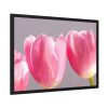 93855-217.jpg Pink Tulip Framed Poster