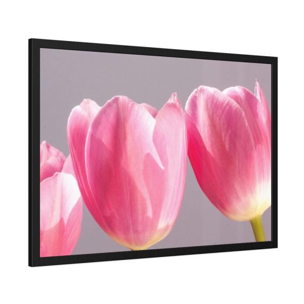 93855-217.jpg Pink Tulip Framed Poster