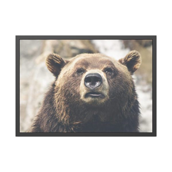 Head of Grizzly Bear Framed Poster