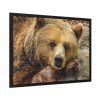 93855-229.jpg Bear is Resting Framed Poster