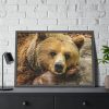 93855-231.jpg Bear is Resting Framed Poster