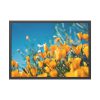 93855-232.jpg Orange Petaled Flowers Framed Poster