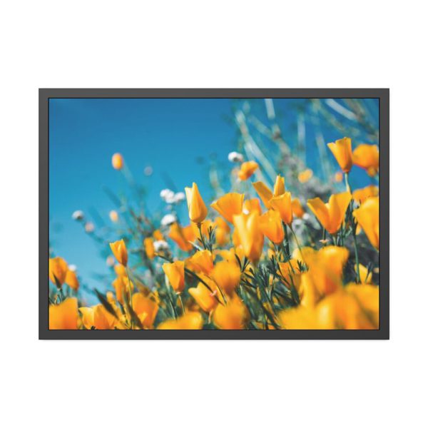 93855-232.jpg Orange Petaled Flowers Framed Poster