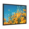 93855-233.jpg Orange Petaled Flowers Framed Poster
