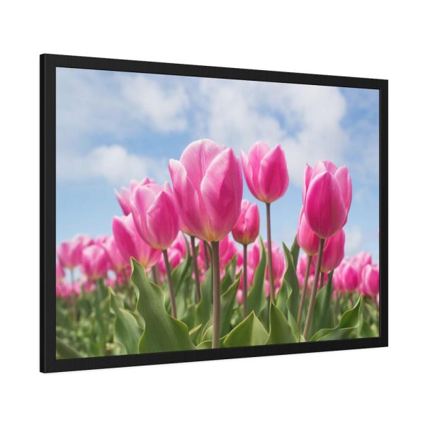Tulip Beauty Framed Poster