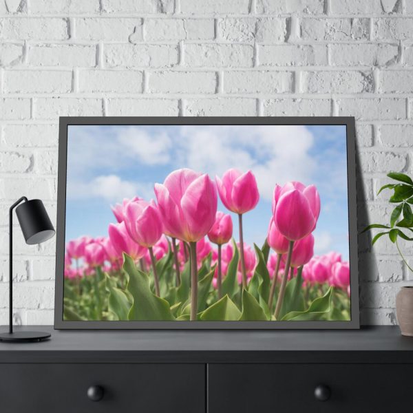 Tulip Beauty Framed Poster