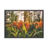 Blooming Orange Tulips Framed Poster