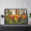 Blooming Orange Tulips Framed Poster