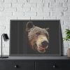 Face of Bear Framed Poster