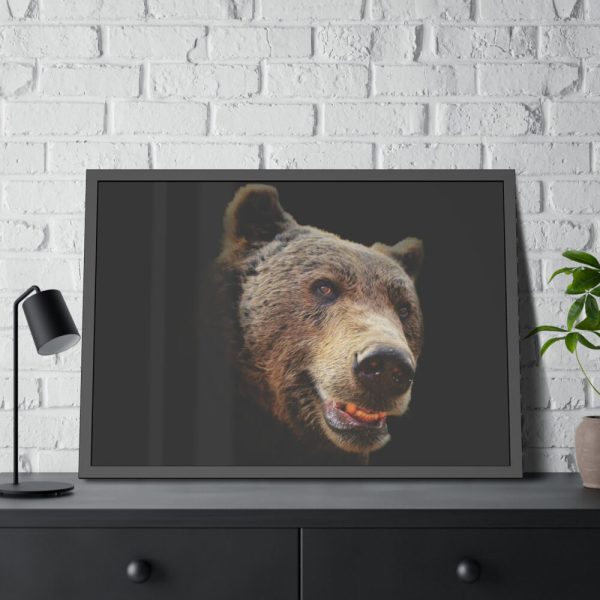 Face of Bear Framed Poster