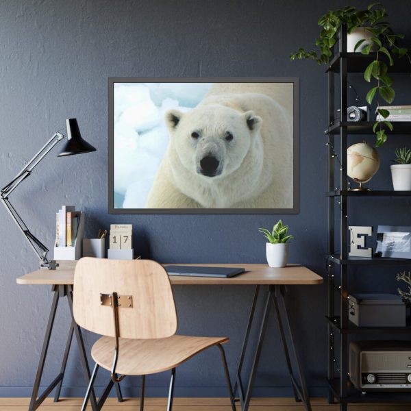 93855-254.jpg Polar Bear Close up Framed Poster