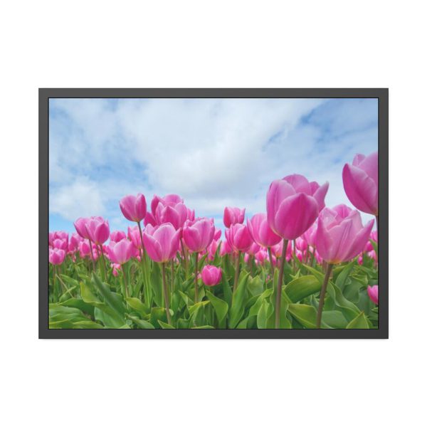93855-256.jpg Pink Tulip Framed Poster