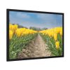Yellow Tulip Framed Poster