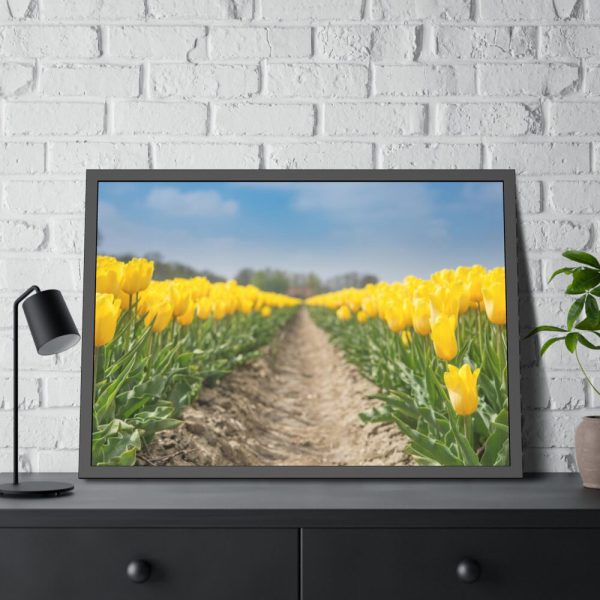 Yellow Tulip Framed Poster
