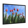 93855-265.jpg Red Tulip Framed Poster